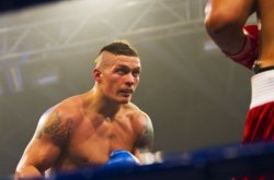 Усик может стать претендентом на титул чемпиона мира по версии WBO