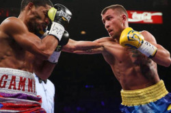 Ломаченко в бою с Родригесом травмировал руку