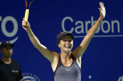 Свитолина обыграла экс-первую ракетку мира