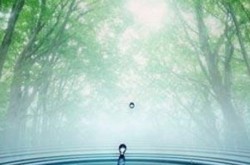 Почему в Киеве жить не хорошо