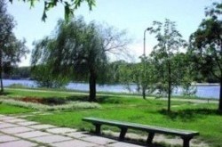 Пляж в «Ивовой роще» проверит санстанция