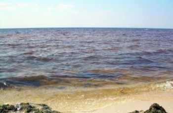 Киевское море грозит природным катаклизмом