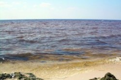Киевское море грозит природным катаклизмом