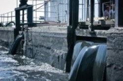 Киев встречает гостей зловонием