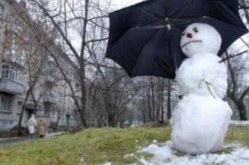 Весна в декабре