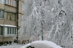 Испытание морозами: правила выживания