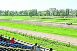 Скандал вокруг ипподрома: на его месте могут построить офисный центр