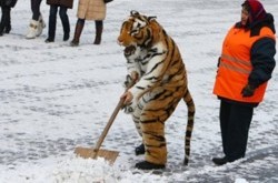 Отложенный протест, или Кому нужны выборы в Киеве?