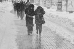 Киевский коллапс: анализ действий властей и выводы