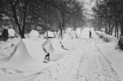 Київ відстав у розвитку через Stupid Government?