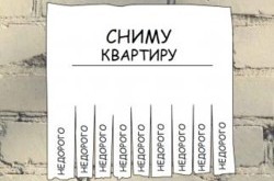 Аренда квартир перестала дорожать из-за ямы в демографии