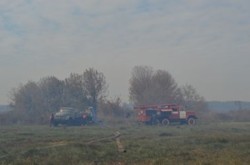 Пожары вокруг Киева: огонь может прорываться сквозь землю, в воздух попадают токсичные вещества