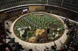 Впечатляющие 3D рисунки на асфальте