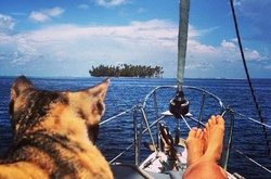Девушка вместе с кошкой совершили кругосветное путешествие на 12-метровой яхте