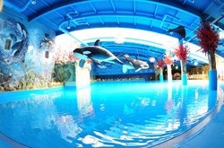 В аквапарке Киева утонул ребенок: кто виноват в трагедии