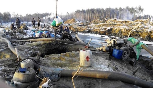 На Житомирщині правоохоронці затримали чергову групу незаконних копачів бурштину