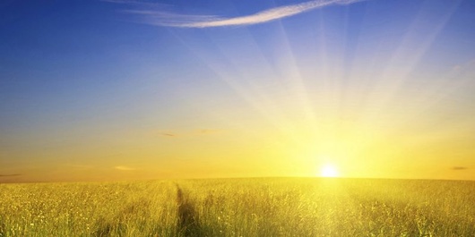 В найближчі дні в Україні збережеться тепла погода