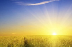 В найближчі дні в Україні збережеться тепла погода