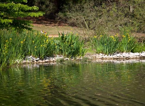 Під Києвом знайшли тіло чоловіка, загорнуте у пакет