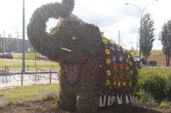 В Оболонському районі оновили квіткового слона