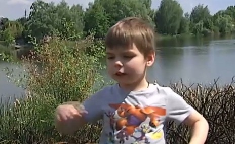 Біля маєтку Порошенка гелікоптер обстріляв садибу бізнесменів