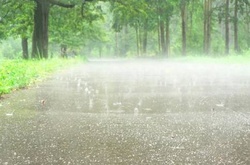 В четвер очікуються дощі з грозами