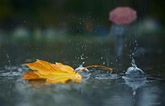 Cьогодні в Україні дощі з грозами