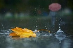 Cьогодні в Україні дощі з грозами