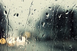 Завтра в Україні дощитиме 