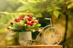 15 растений, которые избавят вашу квартиру от формальдегида, аммиака и бензола