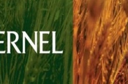 СБУ проводить обшуки в офісі «Кернел»