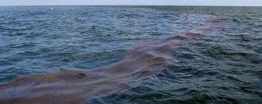 МЗС України надіслало Росіі ноту з приводу розливу нафтопродуктів біля окупованого Севастополя