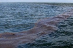 МЗС України надіслало Росіі ноту з приводу розливу нафтопродуктів біля окупованого Севастополя