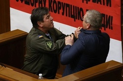 У Раді побилися Вілкул і Тимошенко