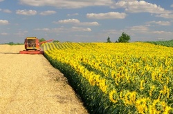 РБК-Україна