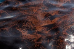 Окупований Севастополь: курортний сезон на носі - всі пляжі в мазуті