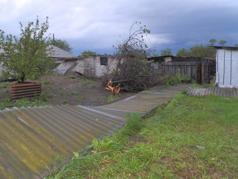 Стихія наробила лиха на Луганщині (ФОТО)