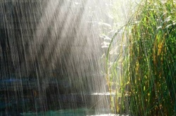 У понеділок буде прохолодно та дощитиме 