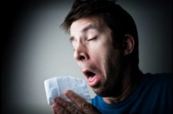 11 причин вашего чихания, живущих в вашем собственном доме  