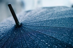 У травні за півмісяця вже випала місячна норма опадів