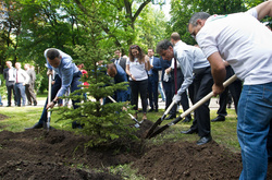 Мер Києва з послом Ізраїлю висадили в Маріїнському парку Алею Ізраїлю