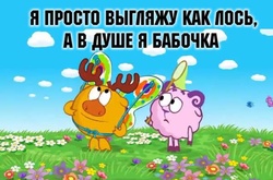 35 уроков жизни от героев мультсериала «Смешарики» 