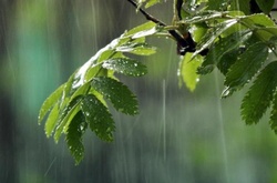 Дощі не хочуть полишати Україну