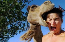 Эксперты указали девять мест, где не стоит делать селфи