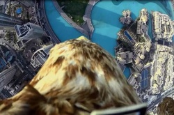 Дубаи глазами орла: Ошеломляющий полет с вершины башни Бурдж-Халиф