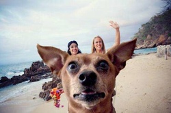 16 пляжных фото, на которые невозможно смотреть без смеха