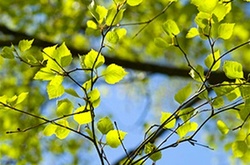 В Україні значно потеплішає 