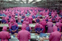 6-минутное видео из фильма «Самсара», которое лишит вас дара речи