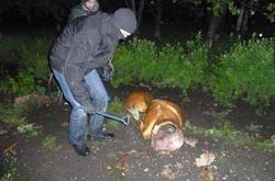 Активісти за одну ніч декомунізували цілий район на Полтавщині 