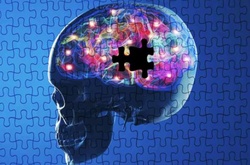 Три пункта, которые помогут вам вырастить больше клеток мозга